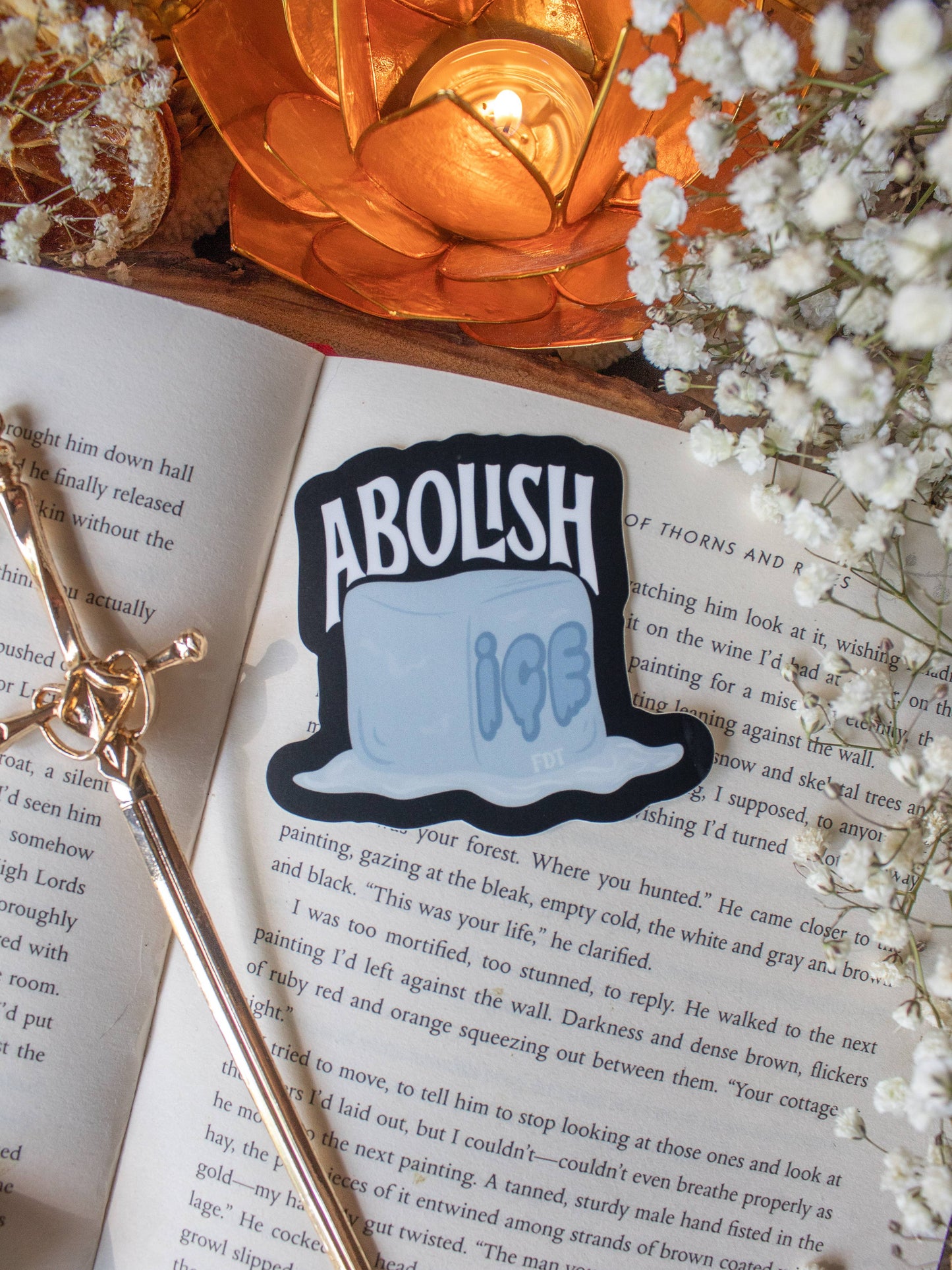 Abolish ICE Ice Cube Waterproof Vinyl Sticker