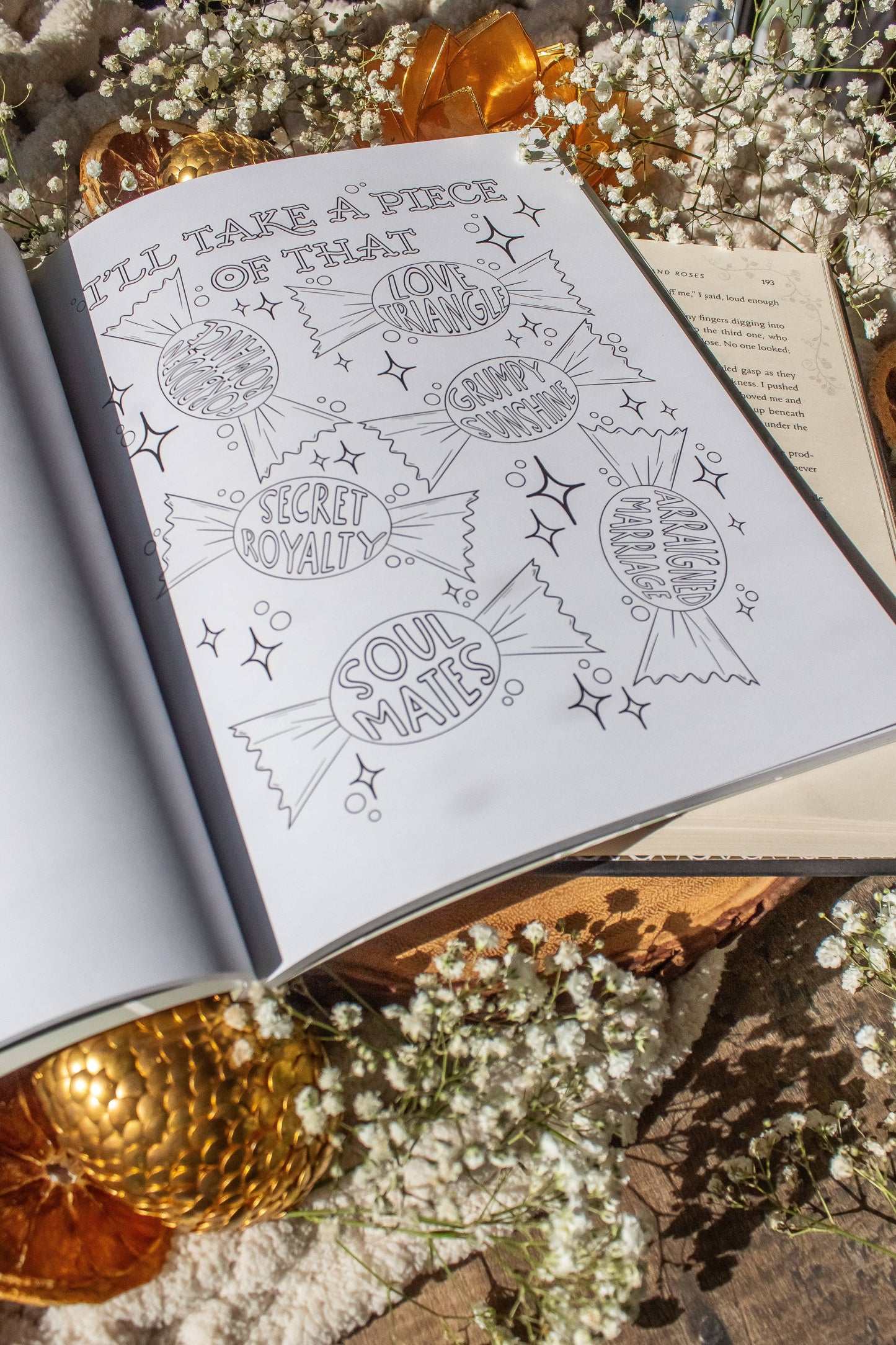 Meaggie Moos - Bookish Coloring Book | 40 Coloring Pages For Adult Readers