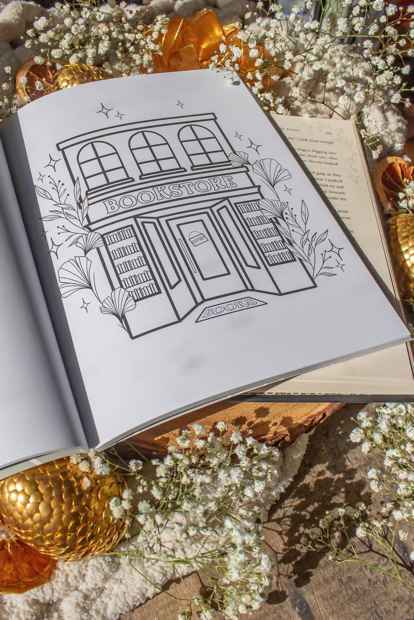 Meaggie Moos - Bookish Coloring Book | 40 Coloring Pages For Adult Readers