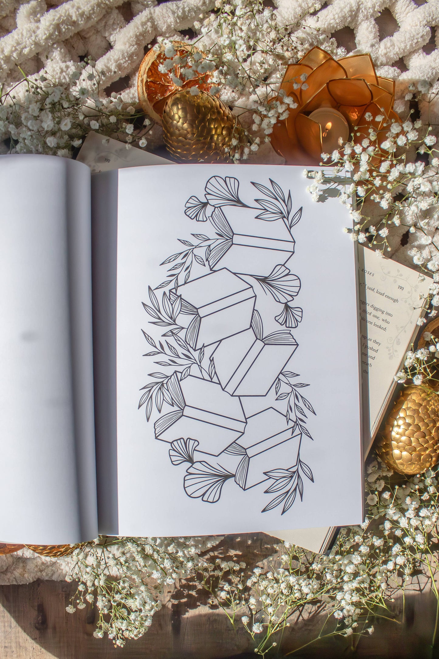 Meaggie Moos - Bookish Coloring Book | 40 Coloring Pages For Adult Readers